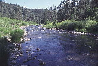 Black River (Arizona)